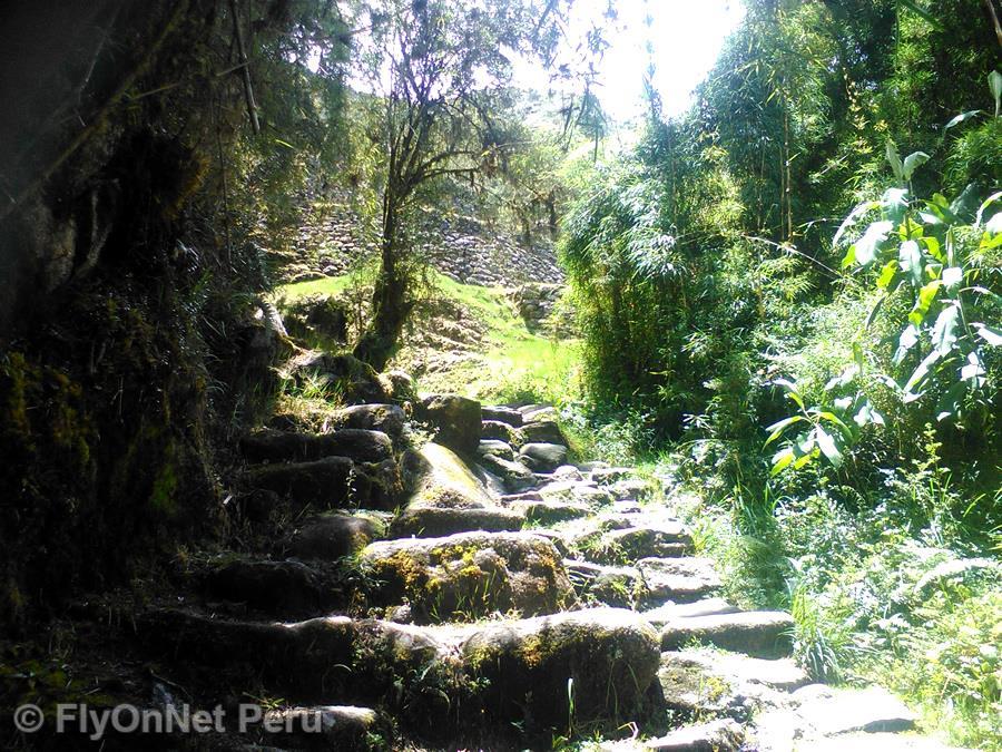 Album photos: Chemin Inca