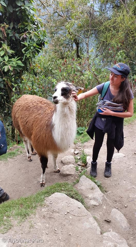 Album photos: Machu Picchu