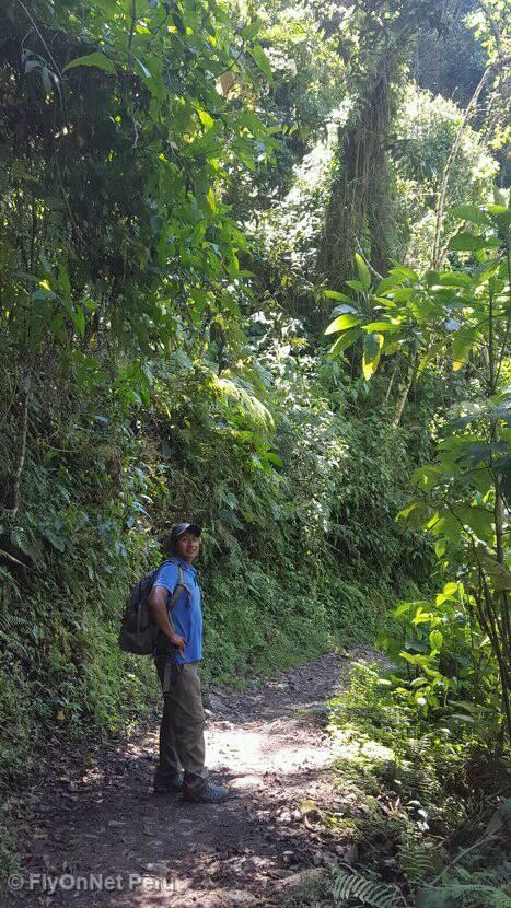 Album photos: Chemin Inca